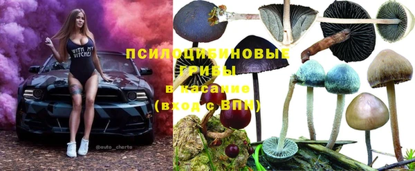 прущий лед Алексеевка